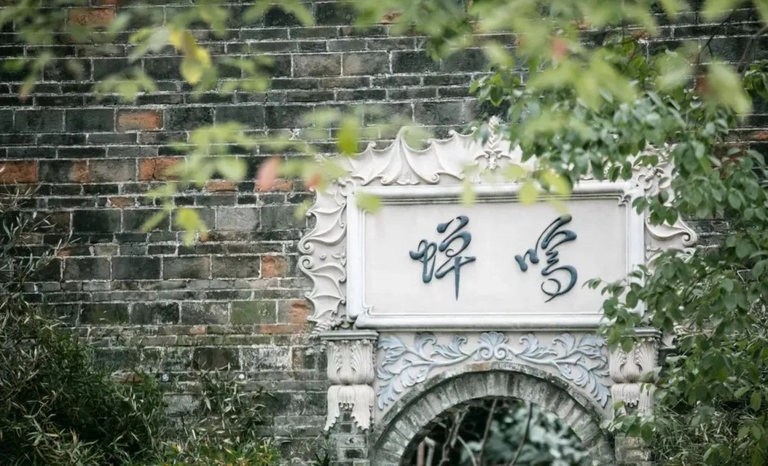 春色撩人，柳烟成阵| 旧时光里的新风采