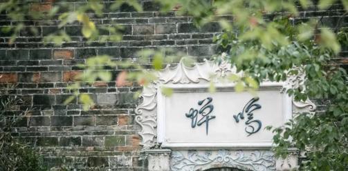 春色撩人，柳烟成阵| 旧时光里的新风采