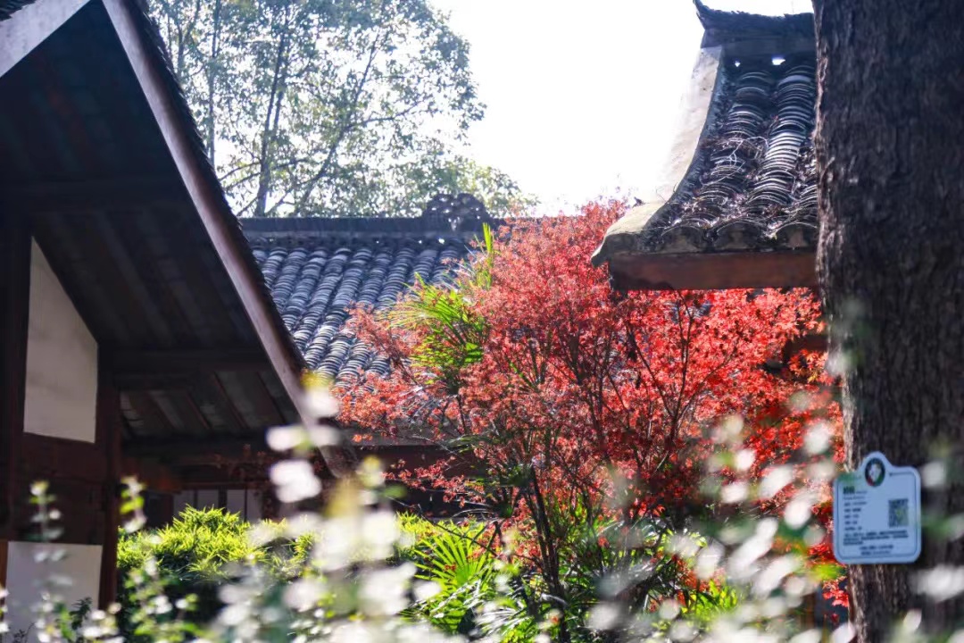 去安仁 感受春日美好