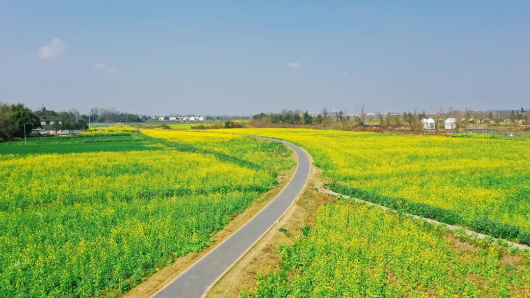 安仁三月花事集 · 春日序曲