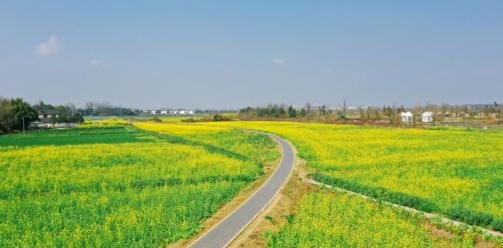 安仁三月花事集 · 春日序曲