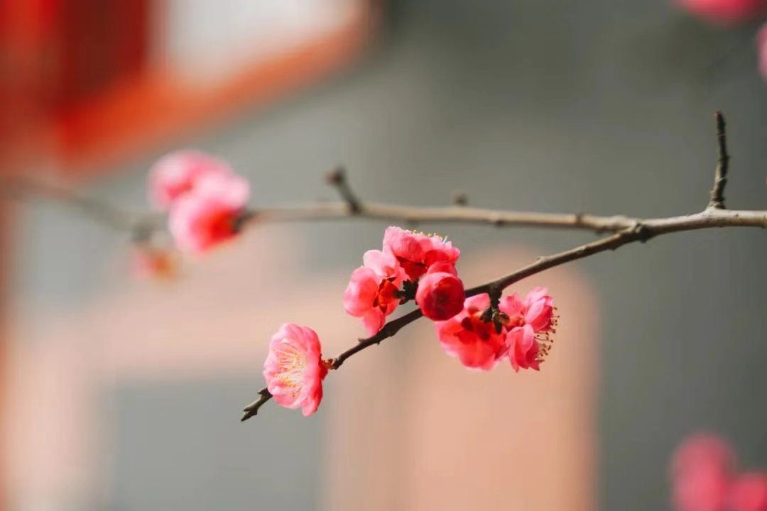 惊蛰至，看「安仁万物·生长说」