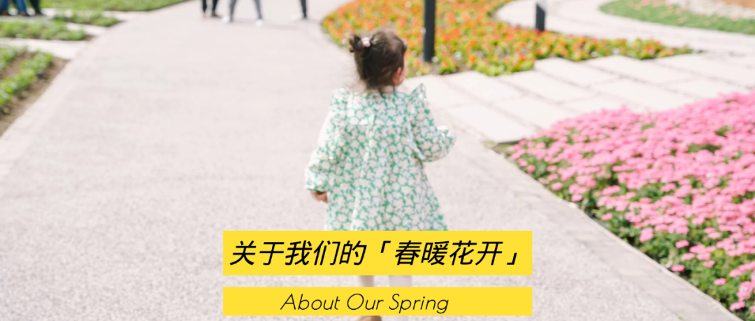 我们要在熠熠春日里，和阳光一起用力灿烂