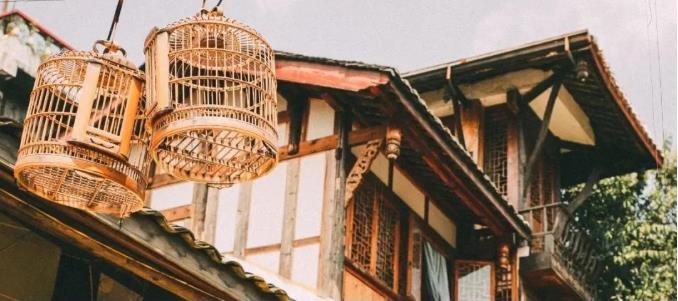 花开天府 安逸四川｜这些古镇私藏了四川一半的春天！