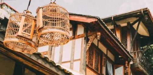 花开天府 安逸四川｜这些古镇私藏了四川一半的春天！