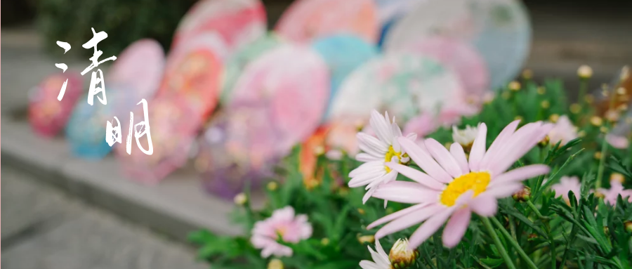 风起正清明，我们将思念放进安仁的春天里