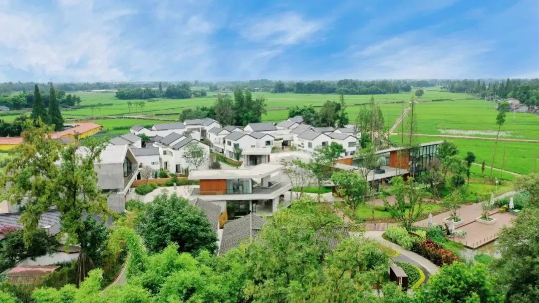 民宿圈最重磅奖项发布！大邑这个“村”上榜