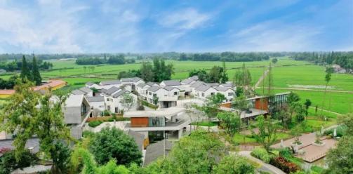 民宿圈最重磅奖项发布！大邑这个“村”上榜