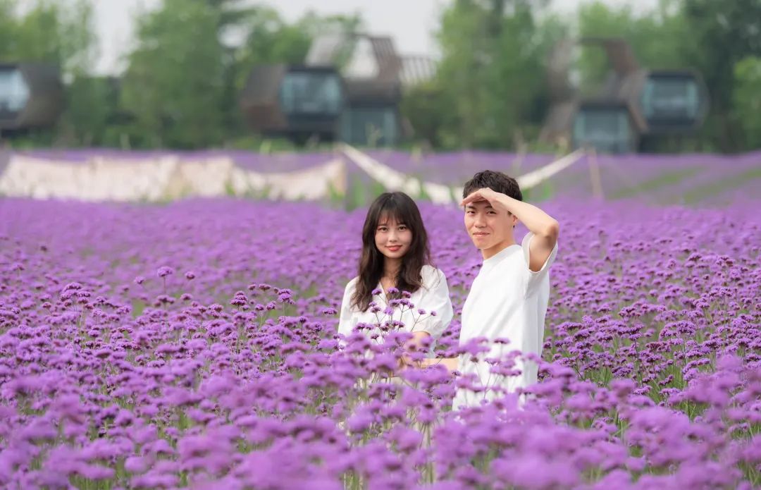 520出游，来奇境花园就够了，这份清单麻烦签收