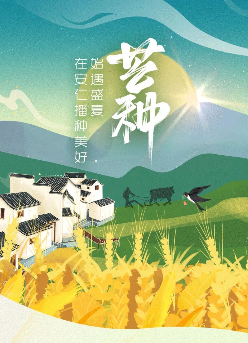 芒种 | 始遇盛夏，在安仁播种美好