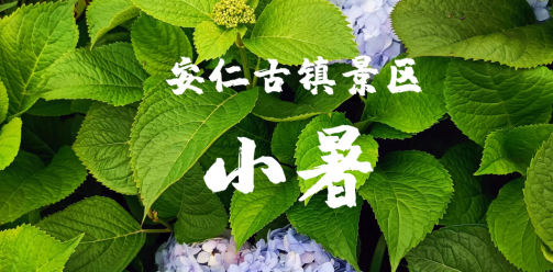 高温天气，请查收~